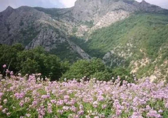 روستای رویین