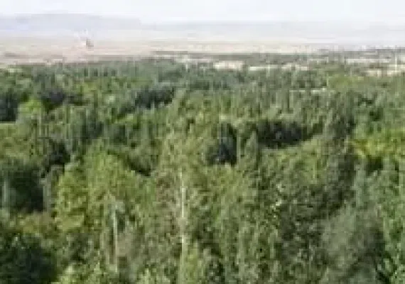 روستای قره باشلو