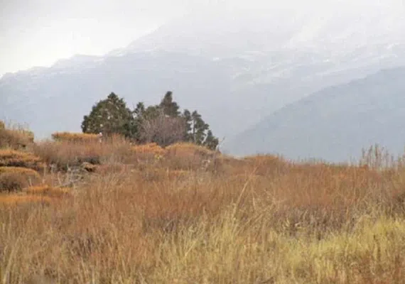 پارک ملی سالوک