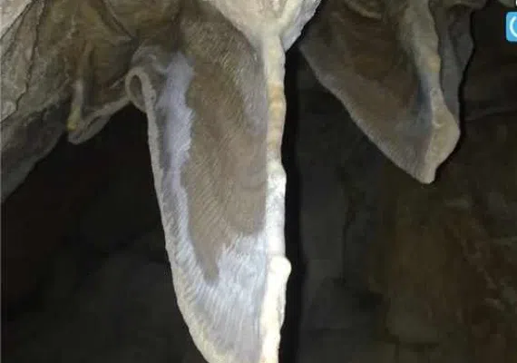 غار شیربند