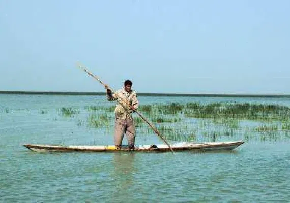 تالاب شادگان