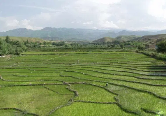 روستای لایین کلات