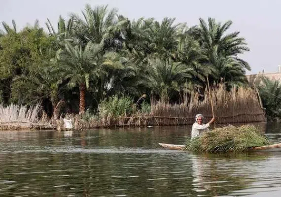 تالاب شادگان