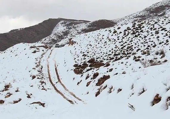 تیگران