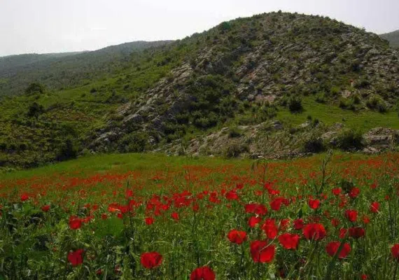 روستای درکش