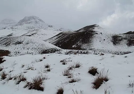 تیگران