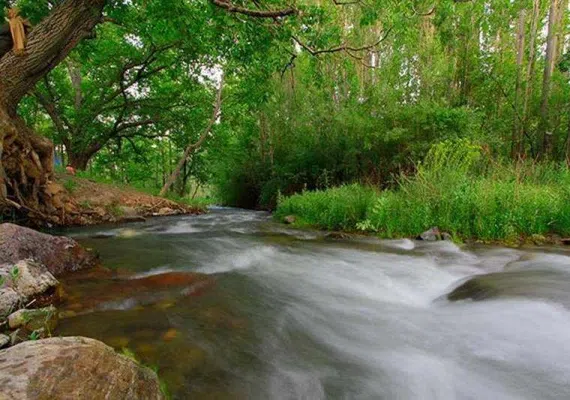 آبشار گیشیگان راین