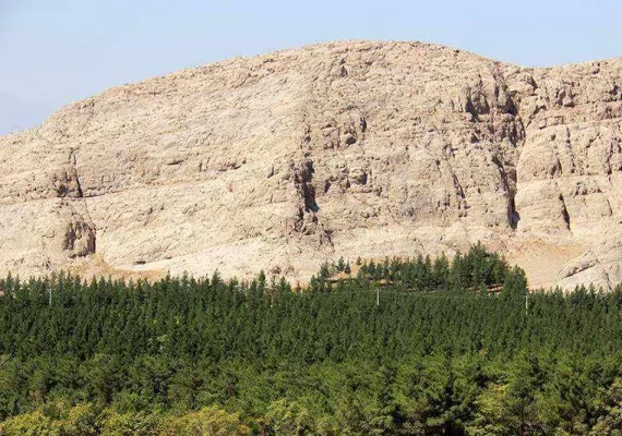 جنگل پردیسان قائم
