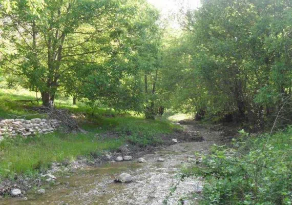 روستای درکش