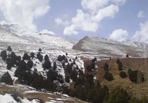 پارک ملی سالوک