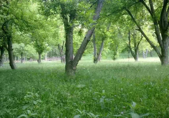 دره حمام قلعه