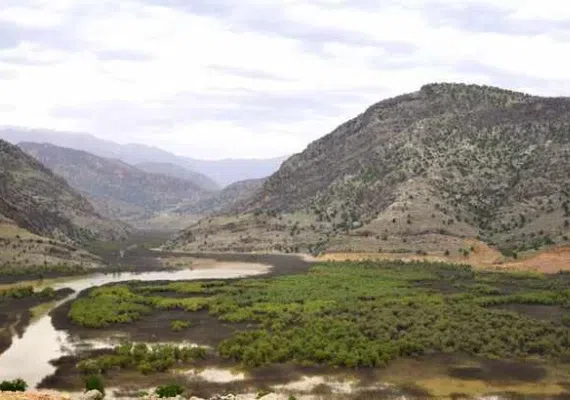 دشت شیمبار