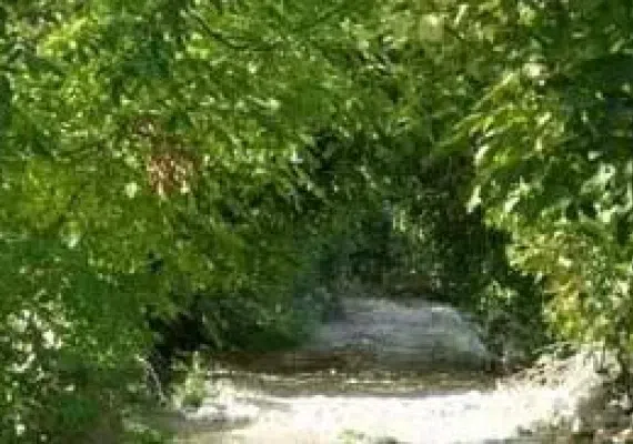 روستای قره باشلو