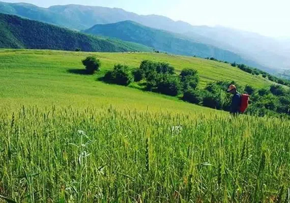 منطقه نمونه گردشگري کشانک