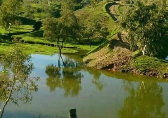 پارک جنگلی تمبی