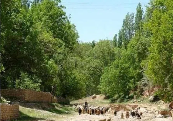 روستای استاد