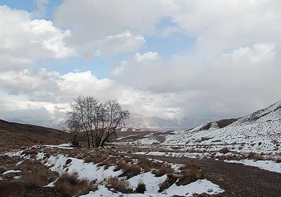 تیگران