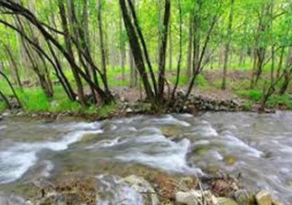آبشار گیشیگان راین