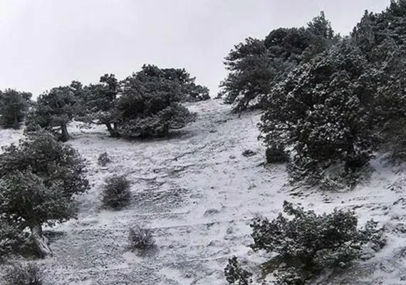 منطقه حفاظت&zwnj;شده قرخود