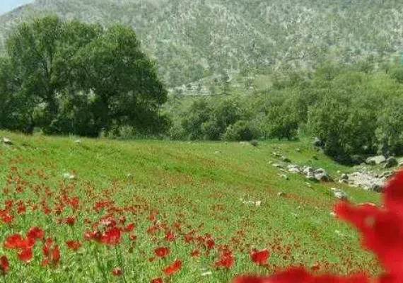 روستا کاستان