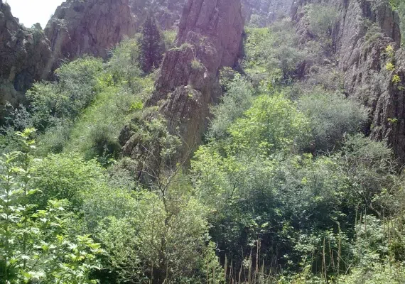 آبشار سد زاوین