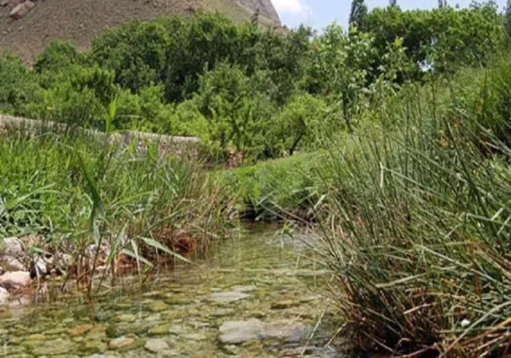 روستای خسرویه