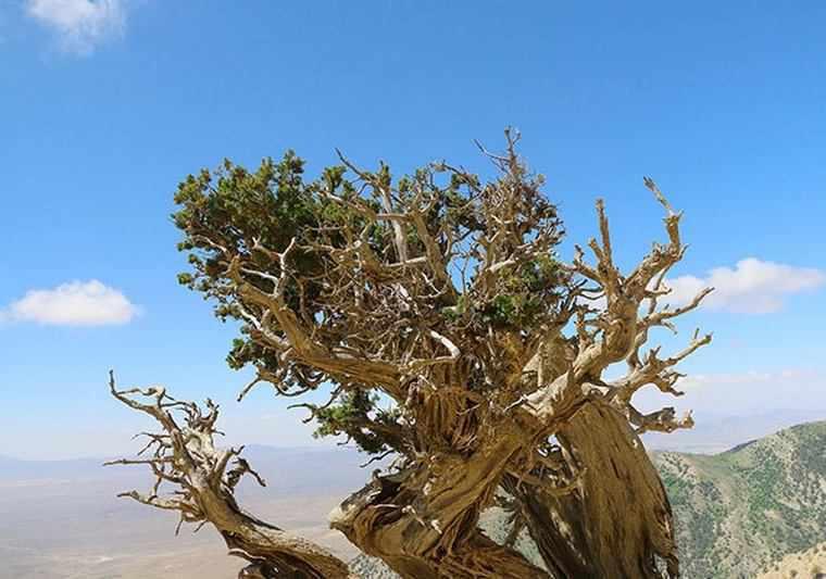 منطقه حفاظت&zwnj;شده قرخود