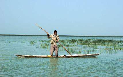 تالاب شادگان