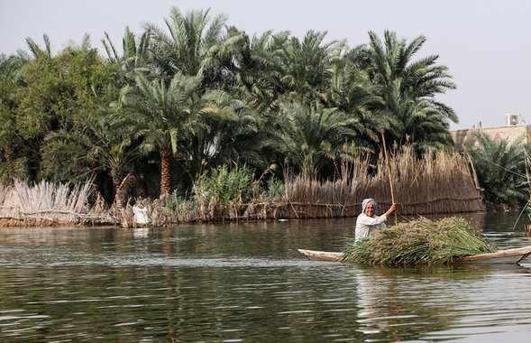 تالاب شادگان