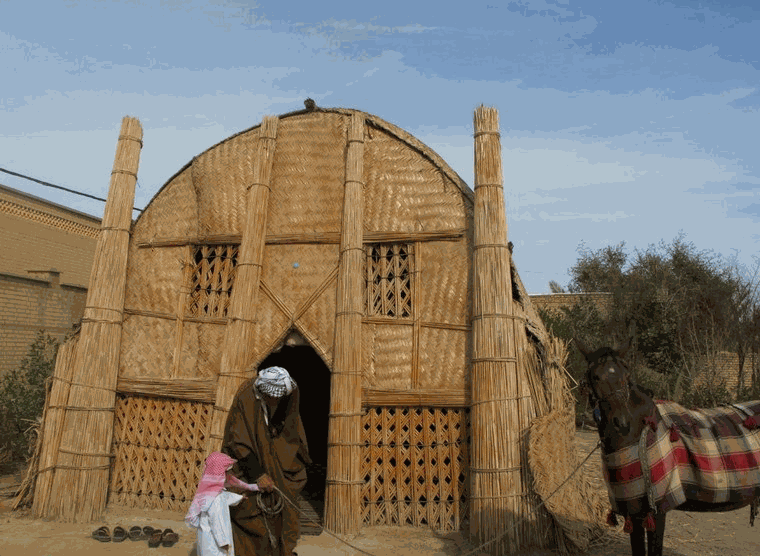 مضیف بردیه