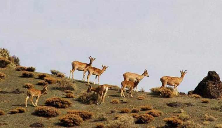 روستای درکش