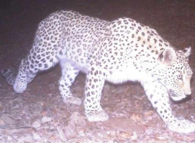 منطقه حفاظت شده دربند