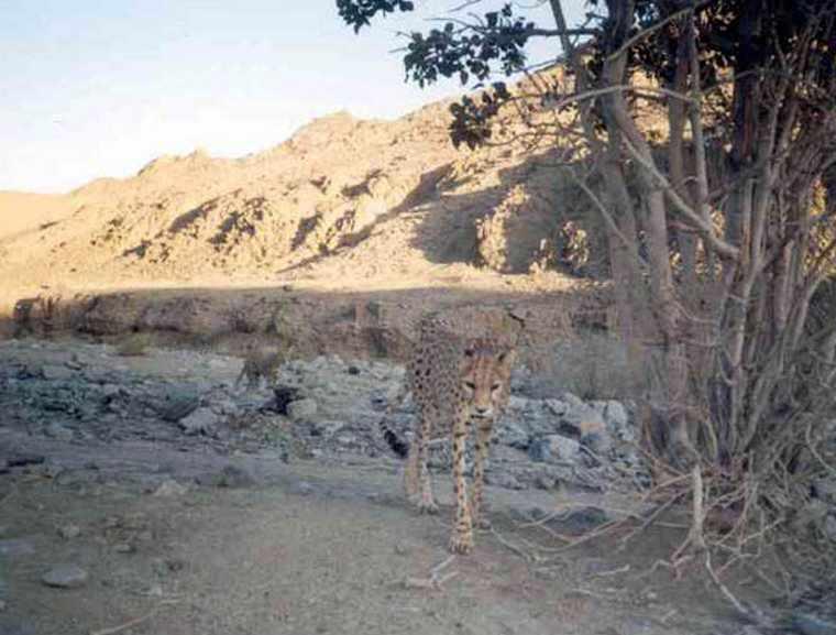 منطقه حفاظت شده دربند