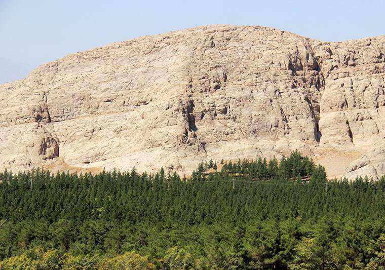 جنگل پردیسان قائم