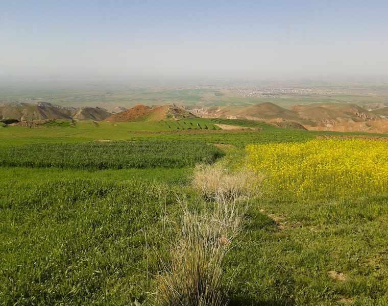 روستای برفریز