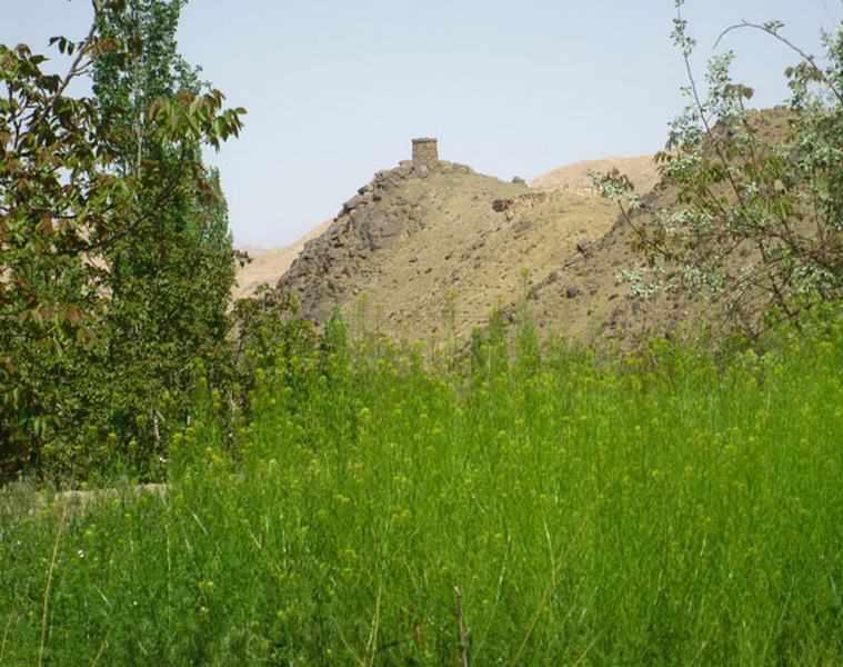 برج فیض آباد