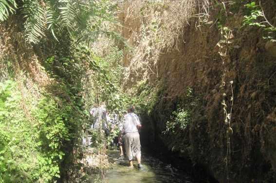 دره انار گتوند