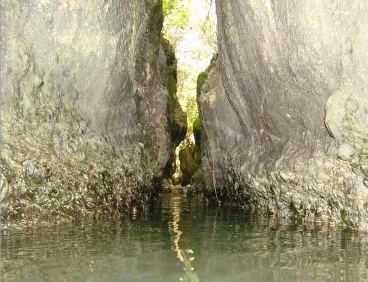 دره انار گتوند