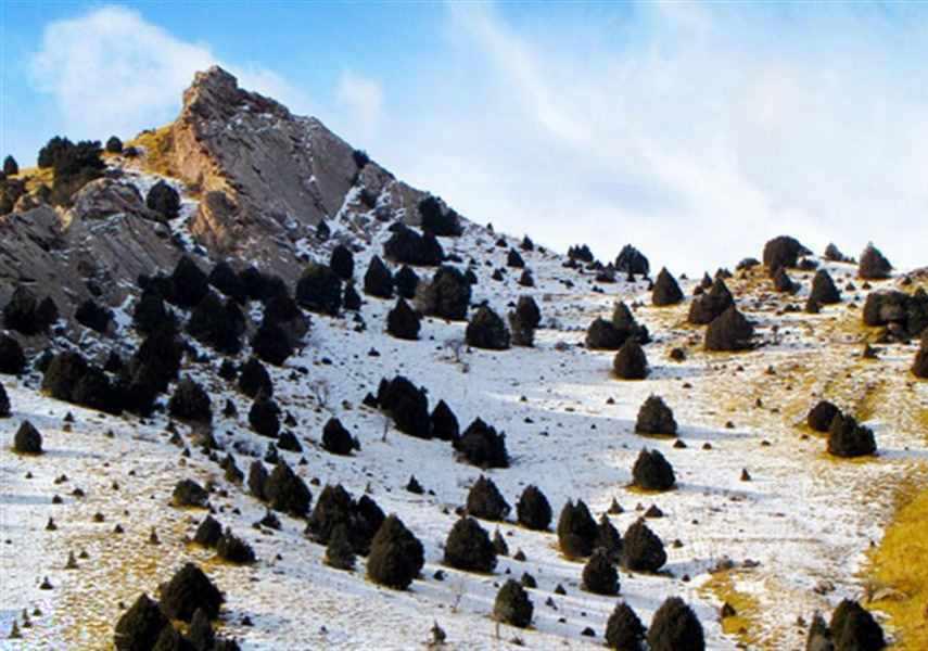 تفنگ دره کلات