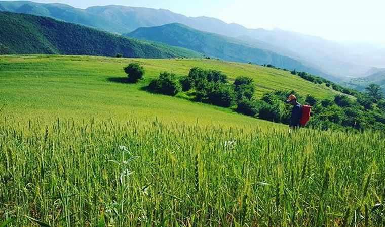 منطقه نمونه گردشگري کشانک