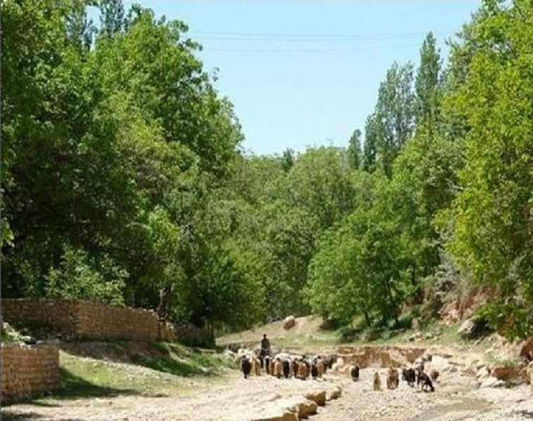 روستای استاد