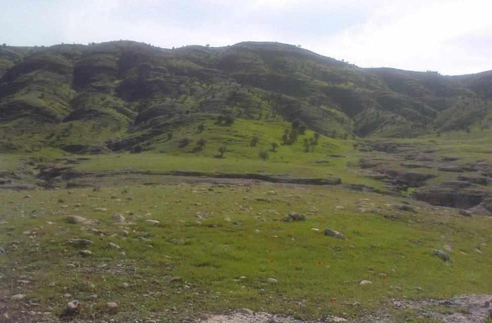 چم شور و دره برکه