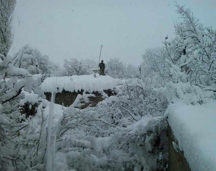 روستای ننیز علیا