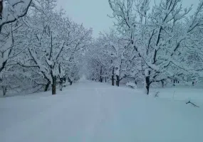 روستای ننیز علیا