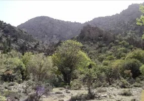 منطقه حفاظت شده مارز