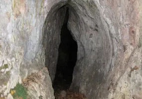 غار جواران