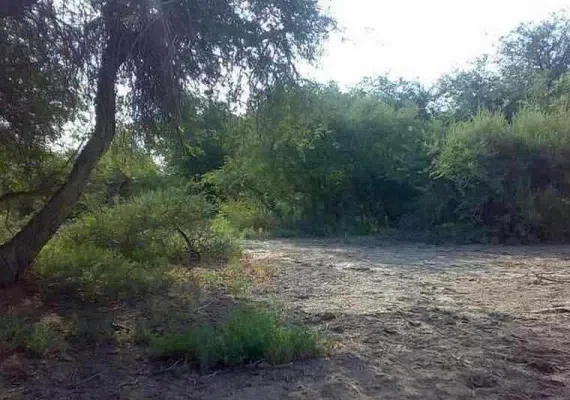 پناهگاه و حیات وحش مهروئیه