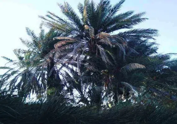 دره لمبورو کهنوج