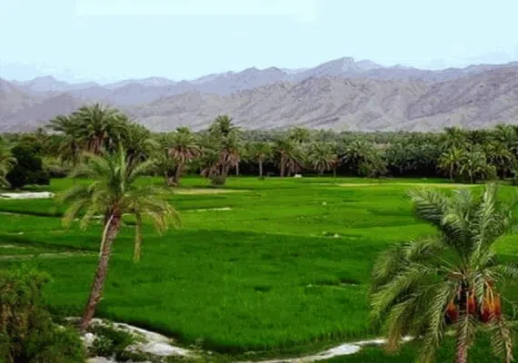 روستای مارز قلعه گنج