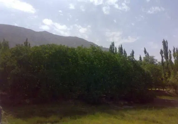 روستای مرغک